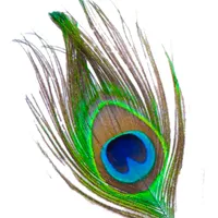 শ্রীমদ্ভগবদগীতা icon