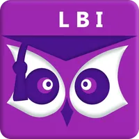 Lei Brasileira de Inclusão icon
