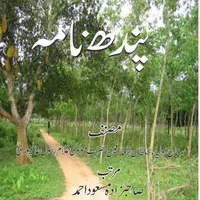 Pandh Nama By Hazrat Alampuri icon