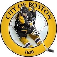 Boston Hockey - Bruins Edition icon