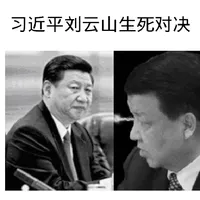 《习近平刘云山生死对决》 icon