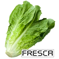 Lechuga Paralela icon