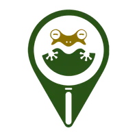 Frog Watch icon