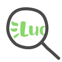 Lucene Search Demo icon