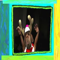 Custom Holiday Picture icon