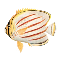 ThatQuiz icon