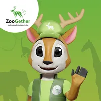 Zoogether icon