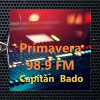 Primavera 98.9 FM Bado icon