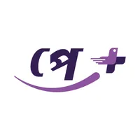 PayPlus Agent icon