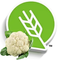 फुलकोबी लागवड #Agrownet™ icon