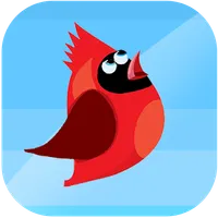 Red Bird Jump Sky icon