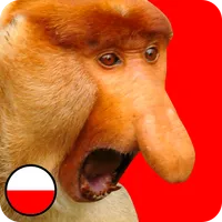 Janusz Kliker icon