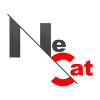 Nesat icon