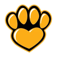 Schroniak icon