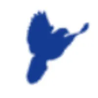 Gołębie Loty icon