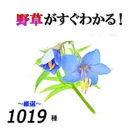 野草がすぐわかる（仮）統合版 icon
