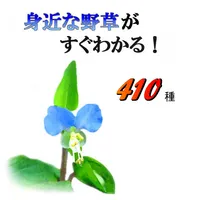 身近な野草がすぐわかる icon