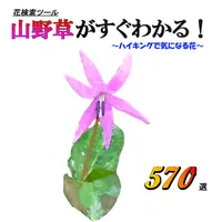 山野草がすぐわかる icon
