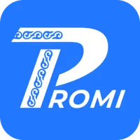Promi KZ icon