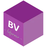 BV Informer icon