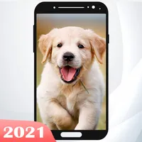 Puppy Wallpaper 🐶 icon