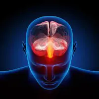 Brain Quiz Game icon