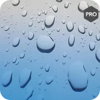 Real Rain Sounds : Pro Relax icon