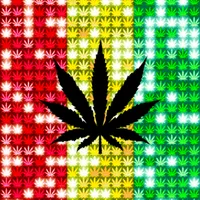 Reggae*Spangle LWP icon