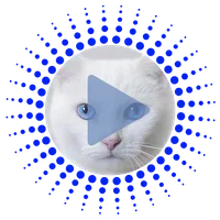 Cat Sounds and Ringtones icon