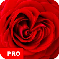 Rose Wallpapers PRO icon