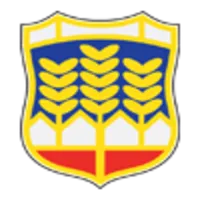 Virtuelna tura Novi Knezevac icon