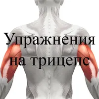 Упражнения на трицепс. Советы icon