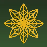 Священный Коран и Хадисы icon
