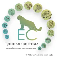 Единая система «Идентификации  icon