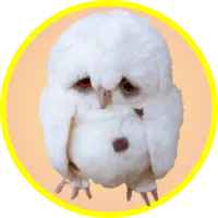 Игра на память. Птицы. 6+ icon