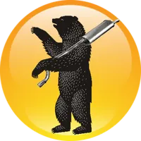 YarAutoNet client icon