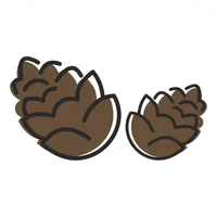 Шишки | Кемерово icon