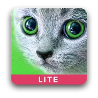 Карточки с животными учим icon