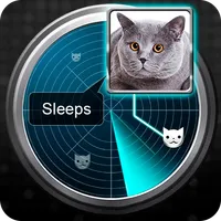 Radar What Makes Cat Joke icon