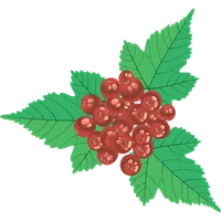 Калина Фарм icon