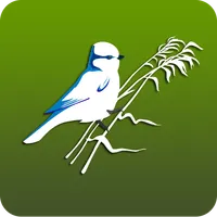 Птицы Поволжья icon