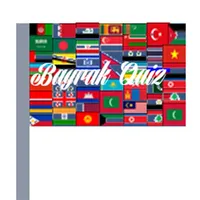 Bayrak Quiz icon