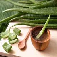 Recetas naturales para tu salu icon