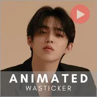 S.Coups SVT Animated WASticker icon