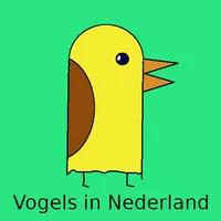 Vogels in Nederland icon