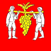Viničky icon