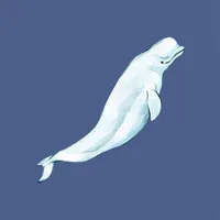 DS Dolphin Surface icon