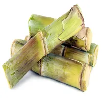 Sonipat Sugar Mill icon