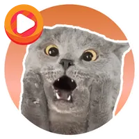WASticker Cat Memes icon