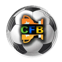 Copa de Futebol de Bairro -CFB icon